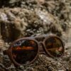 Sustainable Dragonfly Polarized Sunglasses