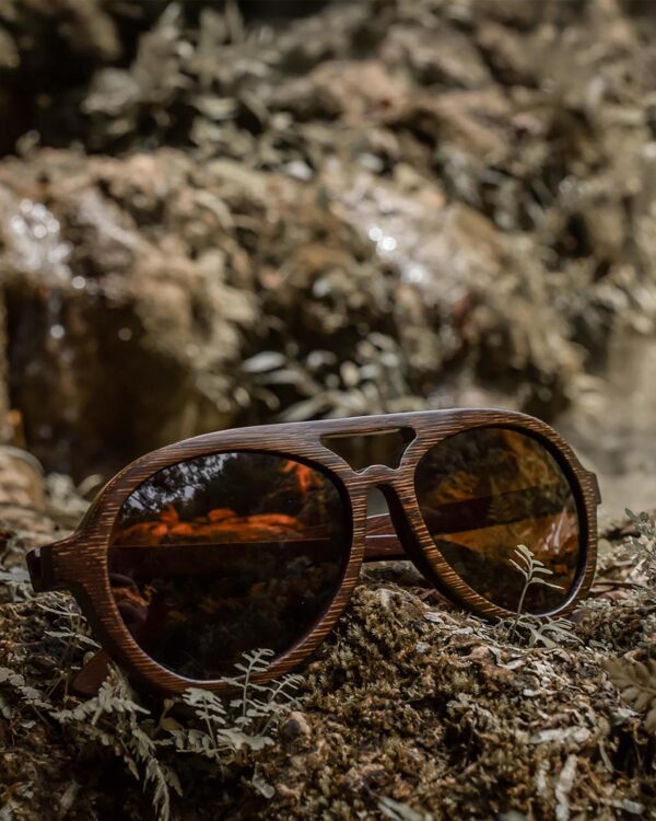Sustainable Dragonfly Polarized Sunglasses