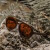 Sustainable Dragonfly Polarized Sunglasses