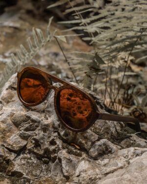 Sustainable Dragonfly Polarized Sunglasses