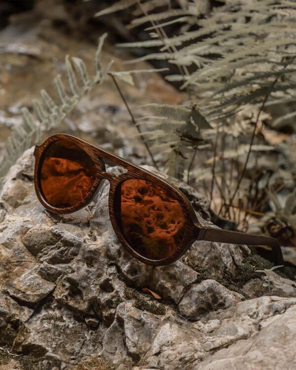 Sustainable Dragonfly Polarized Sunglasses