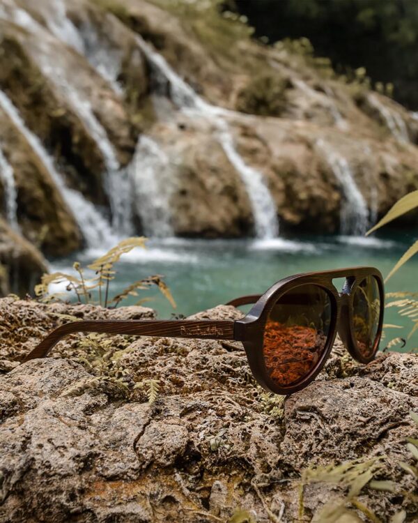 Sustainable Dragonfly Polarized Sunglasses
