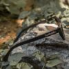 Alluring Polarized Glasses | In Retrospect