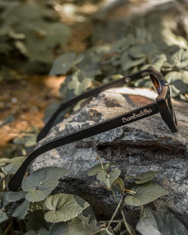Alluring Polarized Glasses | In Retrospect