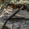 Alluring Polarized Glasses | In Retrospect