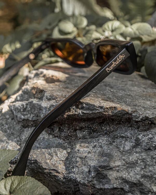 Alluring Polarized Glasses | In Retrospect