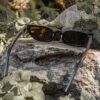 Alluring Polarized Glasses | In Retrospect