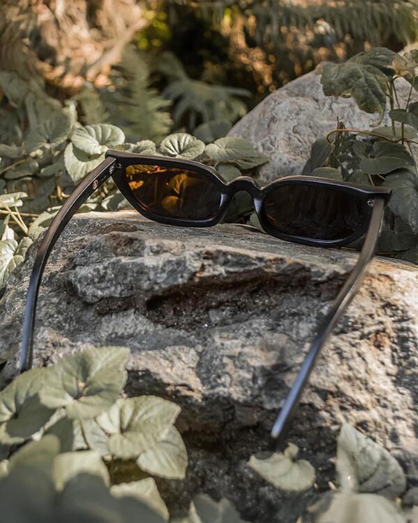Alluring Polarized Glasses | In Retrospect