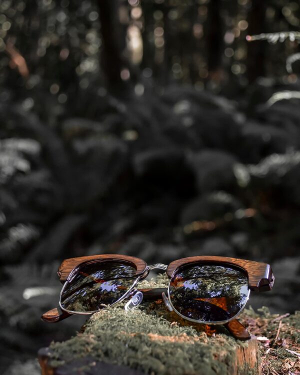 Polarized Sunglasses