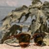 Polarized Sunglasses Bamboo | Zen Masters